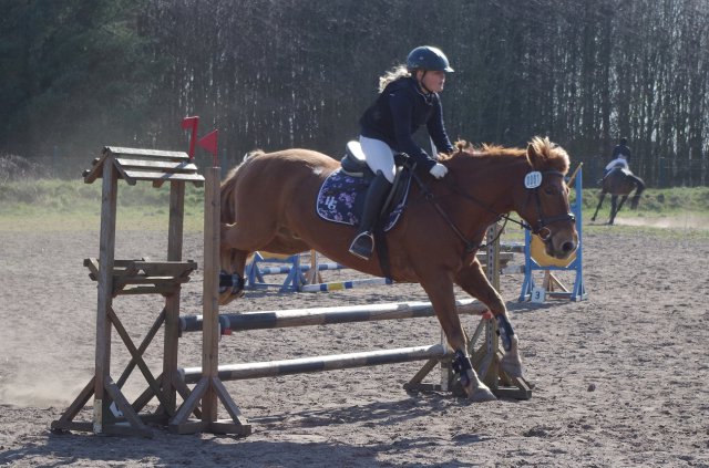 Reitertag_2019